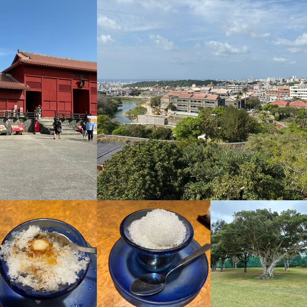 沖縄研修旅行